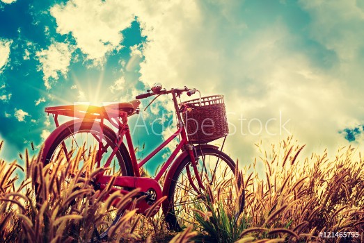 Picture of Beautiful landscape image with Bicycle at sunset